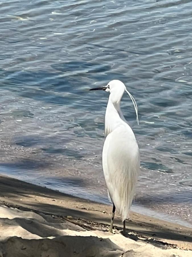 Kallithea Nea Iraklitsa Bagian luar foto